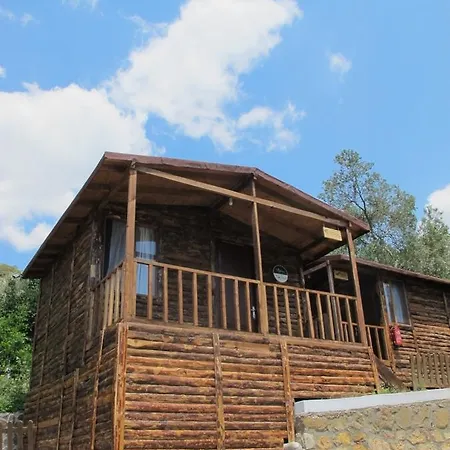 Roka Ekolojik Konaklama Arikli